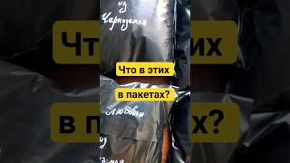 Фото Что лежит в чёрном пакете? #распаковка #интрига #рекомендации #shortsvideo #что #греча