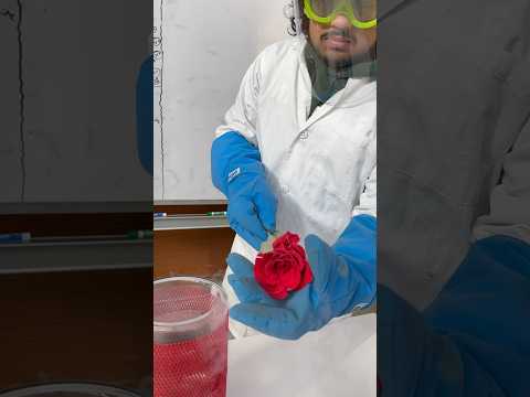 Chemistry is my