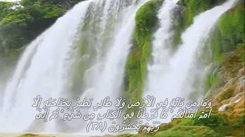 قرآن كريم بصوت القارئ: احمد العجمي || أجمل حالات واتس اب دينيه || تلاوة خاشعة 🌿