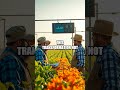 The Future of Farming: AI-Driven Agriculture vs. Traditional Farming
