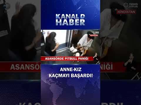 Asansörde Pitbull Paniği!