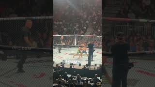 Alexander The Great Volkanovski vs Diego Lopes UFC 314