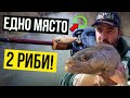 Риболов на ПЪСТЪРВА В бързите води на Златна Панега