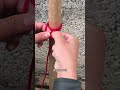 Top 10 Easy Knots Every Beginner Should Learn