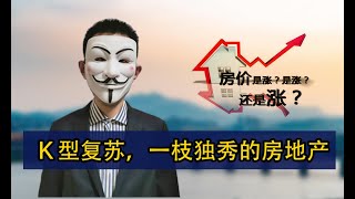 K型复苏,一枝独秀的房地产【20210317】