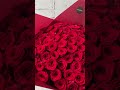 Luxus Blumenstrauß „100 rote Rosen in Rot“ - Blumenlieferung deutschlandweit - online bestellen