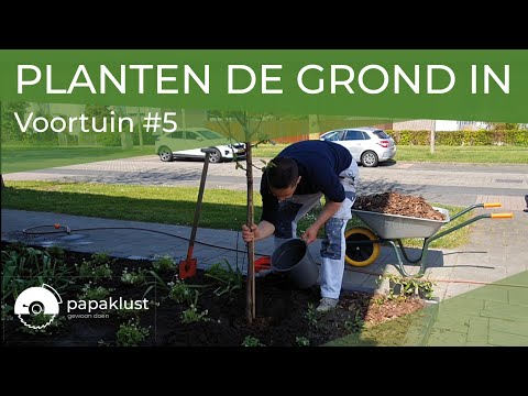 Video: Wat voorsien grond vir plante?