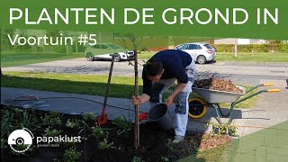 De Planten Gaan De Grond In Voortuin