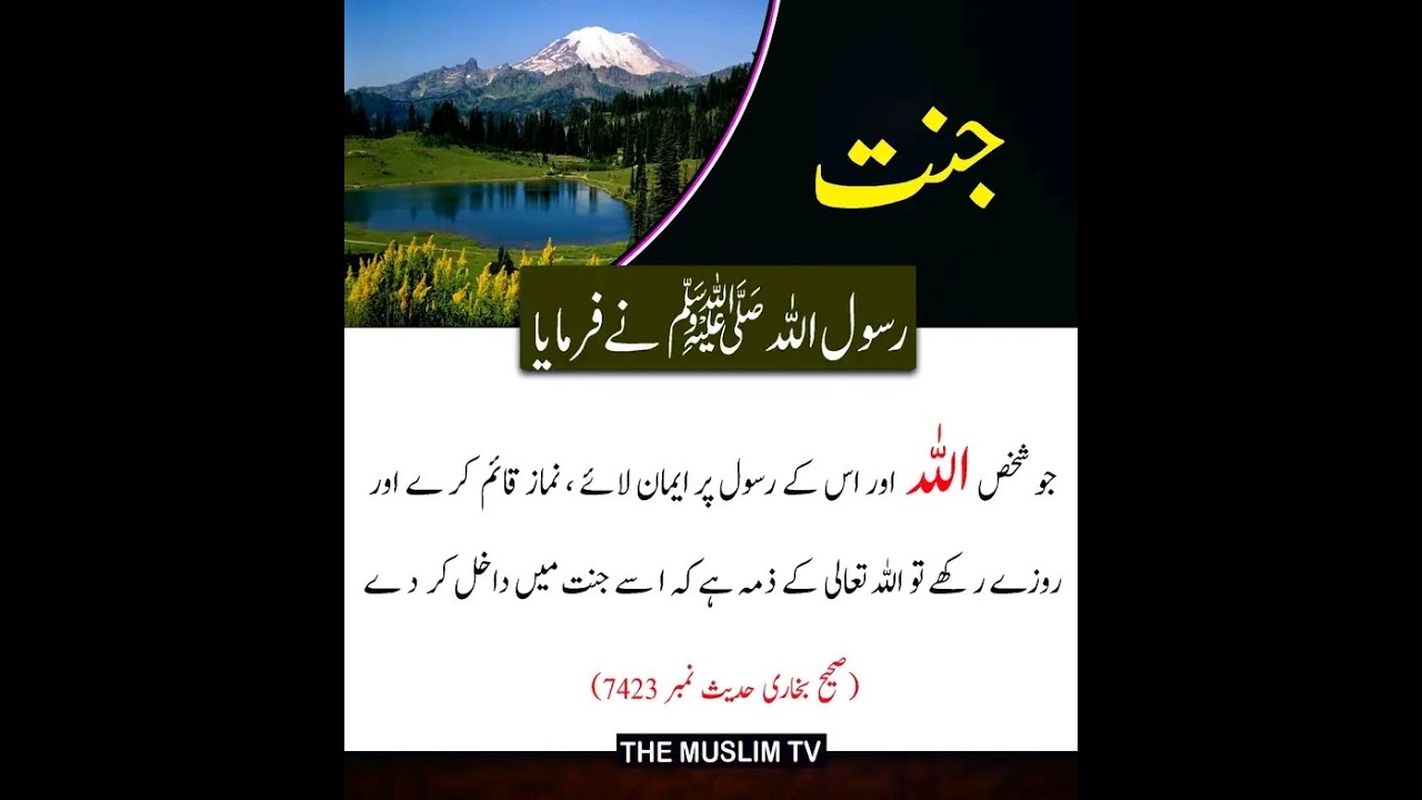 سورہ سجدہ کی فضیلت - YouTube