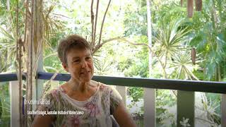 Ocean Sentinel Dr Katharina Fabricius / MOUA / Museum of Underwater Art