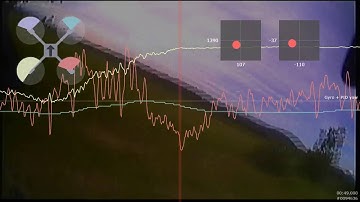 Shaky yaw - Blackbox analyse