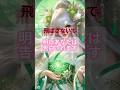 #恋愛成就 #恋愛 #運命の恋 #復縁 #占い #恋のはじまり #恋が叶う音源 #shorts