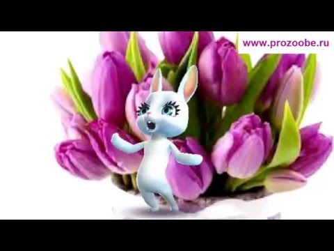 Поздравление с 8 марта ❀✿❀ Всем желаю счастья, искренних улыбок ❀✿❀ Поздравления от Зайки
