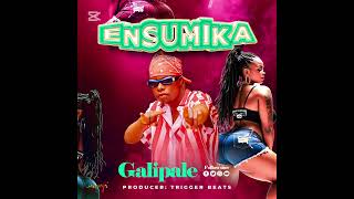 Ensumika by Galipale-{official visualizer}