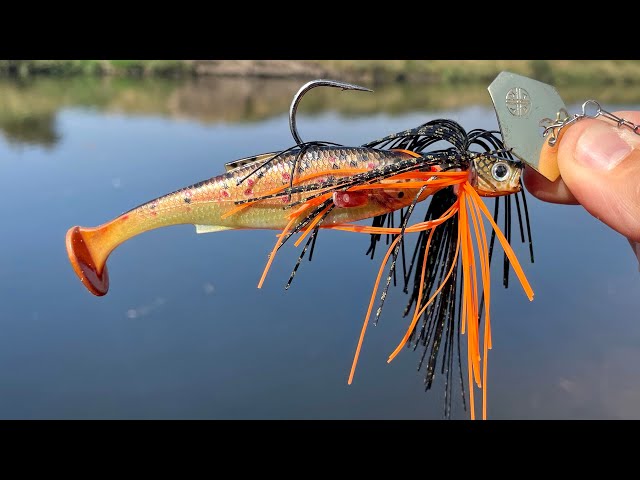 Chatterbait Pike Fishing! (BIG Pike) LMAB KØFI MULTIVIBE 