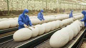 AI-Powered Smart Factory Silk Production – From Raw Silk to Luxury Designer Clothing (Full Process)