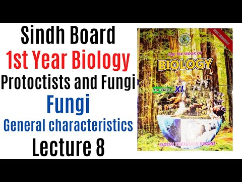 fungi || general characteristics | protoctista and fungi class 11 ...