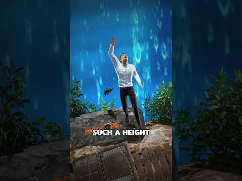 ماذا يحدث فعلا إذا سقطت من أطول مبنى في العالم حقائق زاك دي فيلم 