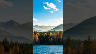 Daily Scripture and Meditation #selflove #purposefilledlife #positivitychannel #godspurpose #love