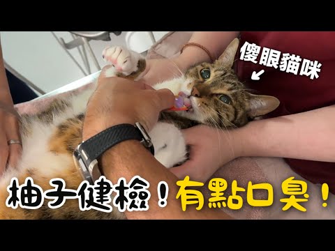 【黃阿瑪的後宮生活】柚子健檢！有點口臭！