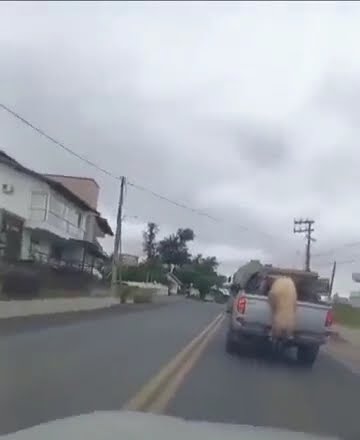 Capa do vídeo do YouTube