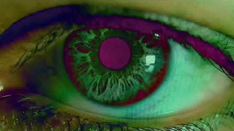 Revolución Tortilla - The Arrow of Time (Official Video)