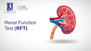 Famous Renal Function Test (RFT) Profile