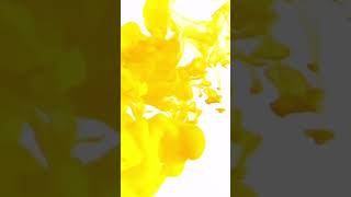 ‘Scape’ // The Neoclassical Diarist #rock #newsong #guitar #instagram #tiktok #facebook #youtube