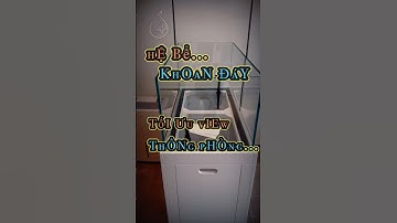 🌿 Giải pháp tối ưu không gian bể view 3 mặt cho anh em yêu thích sự gọn gàng...🥰 #aquarium_melody