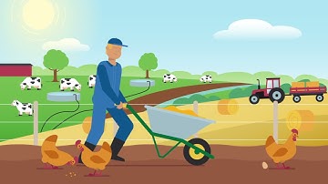 De eiwitshift op uw bord