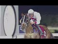 RM 52  Al Rayyan Race 4 -  Al Jumayliyah Cup