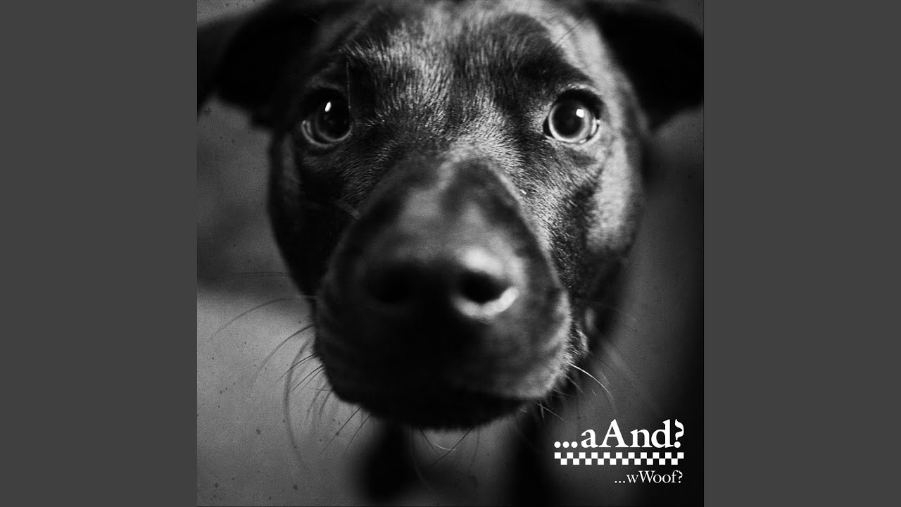 Watch Wwomble! on YouTube Watch Wwomble! on YouTube