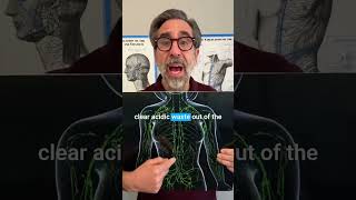 Simple Ways to Help Stop Acid Reflux Fast!