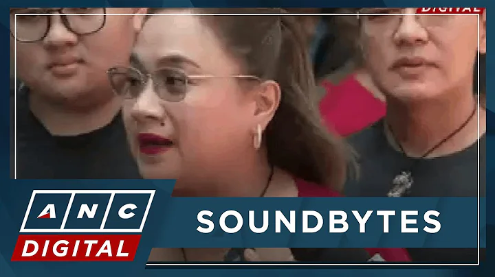 Lawyer saddened by non-bailable charge vs Discayas, insists no ghost projects | ANC