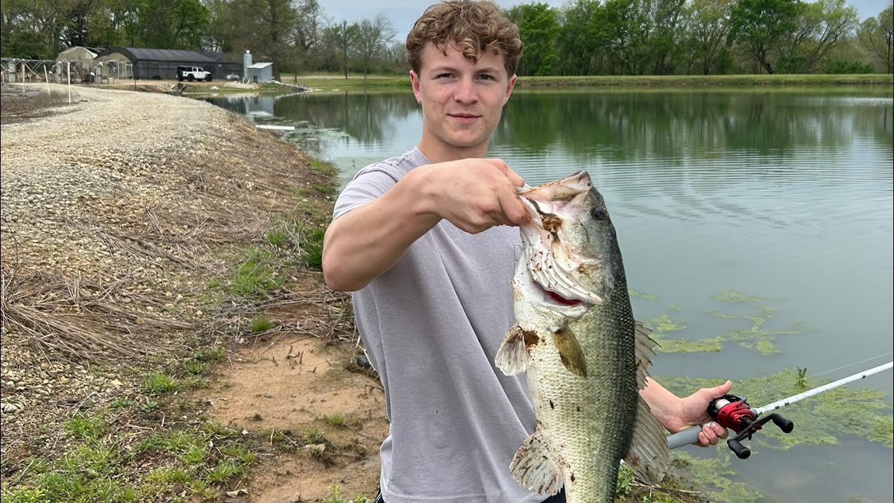 Spring bass fishing (Top water blowups!)