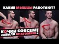 Какие мышцы работают при Подтягивании? ГРУДНЫЕ?