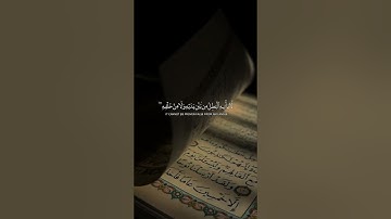 Surah Fussilat 41-42 سورة فصلت @NoCreditQuranOverlay #qurancadence