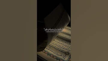 Surah Fussilat 41-42 سورة فصلت @NoCreditQuranOverlay #qurancadence