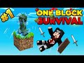 First day in Minecraft one block survival (Hindi) 