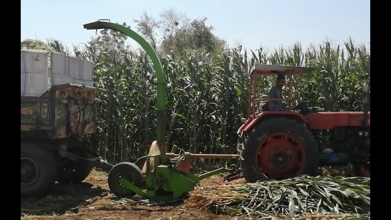ماكينة عمل السيلاج (دراسة الذرة) صناعة مصرية 01095398685
