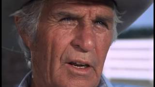 Dallas: Jock, I'm Your Father Ray