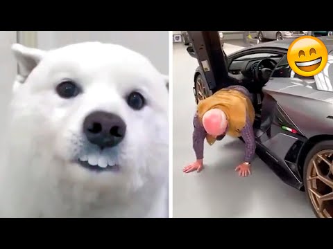 Try NOT to Smile 😋 Funny Moments Caught on Camera