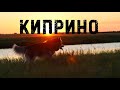 Первый выезд на отдых 2020 | Алтайский край, Киприно