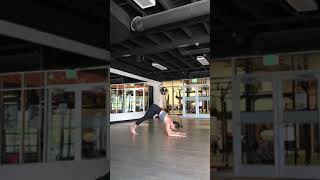 Front Plank Walk to Dolphin