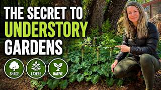 Understory Native Plant Design Tutorial | Shade Garden Layout + Plant Selection