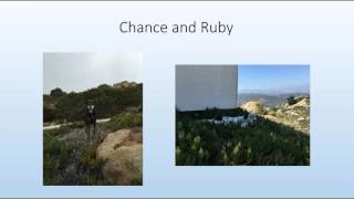 Module 2 intro