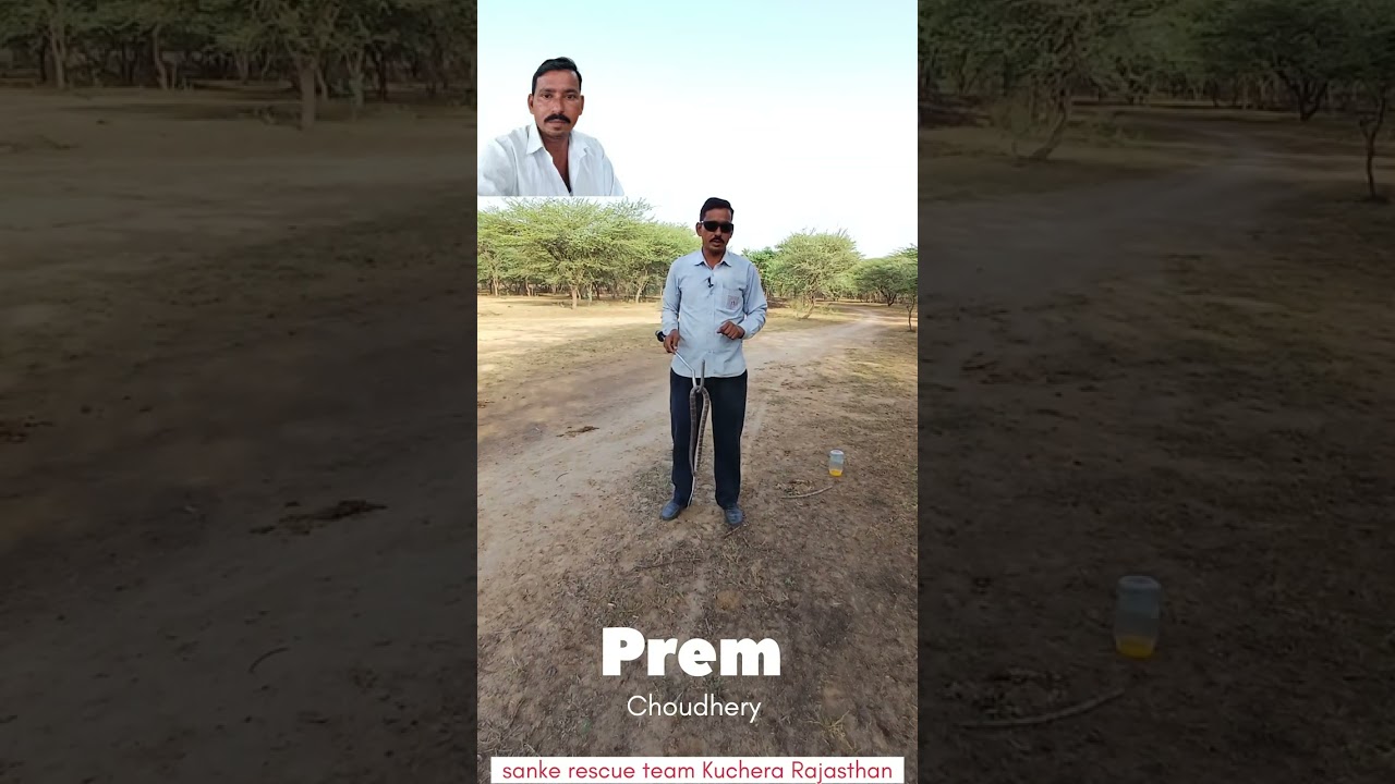 Prem Choudhery sanke rescue team Kuchera Rajasthan 