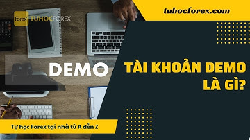 Forex Cho Người Mới: Tài Khoản Demo Là Gì & Mọi Thứ Cần Biết