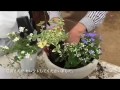 お花も土も元気‼︎むらかみ農園の寄せ植え