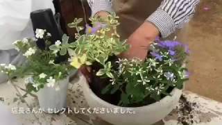 お花も土も元気‼︎むらかみ農園の寄せ植え